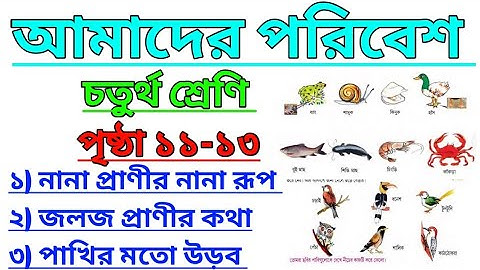 Amader Poribesh Class 4 Page 11-13 | আমাদের পরিবেশ | চতুর্থ শ্রেণি  @ClassesofPradyutSir