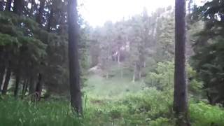 Tim and Cody in Spearfish Canyon - 2016 by tlimberg06 65 views 7 years ago 19 seconds