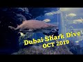 Dubai Mall Aquarium Shark Dive 2019