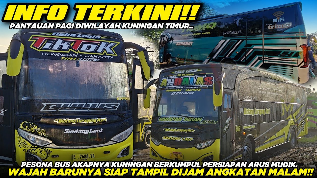 AKHIRNYA BANGKIT KEMBALI SETELAH LIBUR PANJANG!! NEW TIKTOK BULUS DARI P.O BINTANG LURAGUNG ASRI