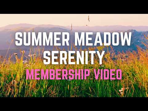 SUMMER MEADOW SERENITY | Membership Video | 12 Hours | Black Screen | No Ads | Relax/ Focus