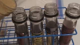 Your Home Yeast Lab Made Easy - Freezing & Refrigerating Yeast