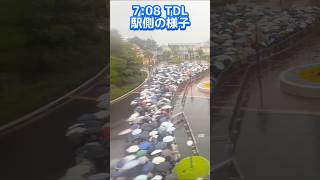 【超速報】朝から雨で人数減少‼️ディズニーリゾート最新混雑状況【2026.4.2】