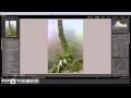 Curso de lightroom 5 capitulo 37 - El módulo revelado (XV)