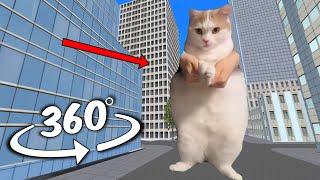 Cat Dances To Girlfriend chase you But it's 360 degree video #4
