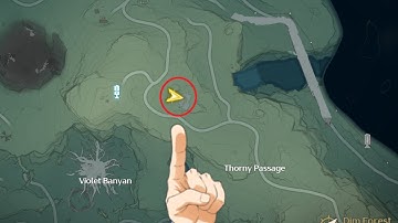 Wuthering Waves - Encryption Block Puzzle Between Violet Banyan and Thorny Passage (easy)