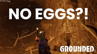 Can't find ANT EGGS in Grounded, they Don't Spawn!