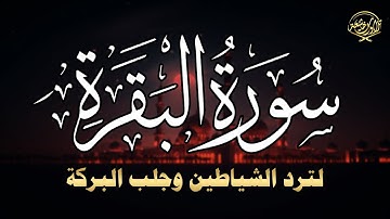 🌿 سورة البقرة كاملة بصوت خاشع يلامس القلب | تلاوة تبعث الطمأنينة وتطرد السحر والحسد 💫