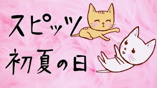 スピッツ 初夏の日 Doodle Cat Youtube