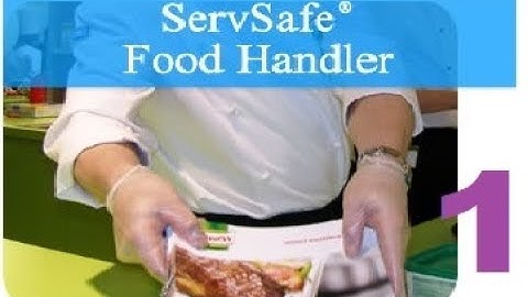 [STREAM] ServSafe Food Handler Course and Assessment (GONE WILD) - Part 1