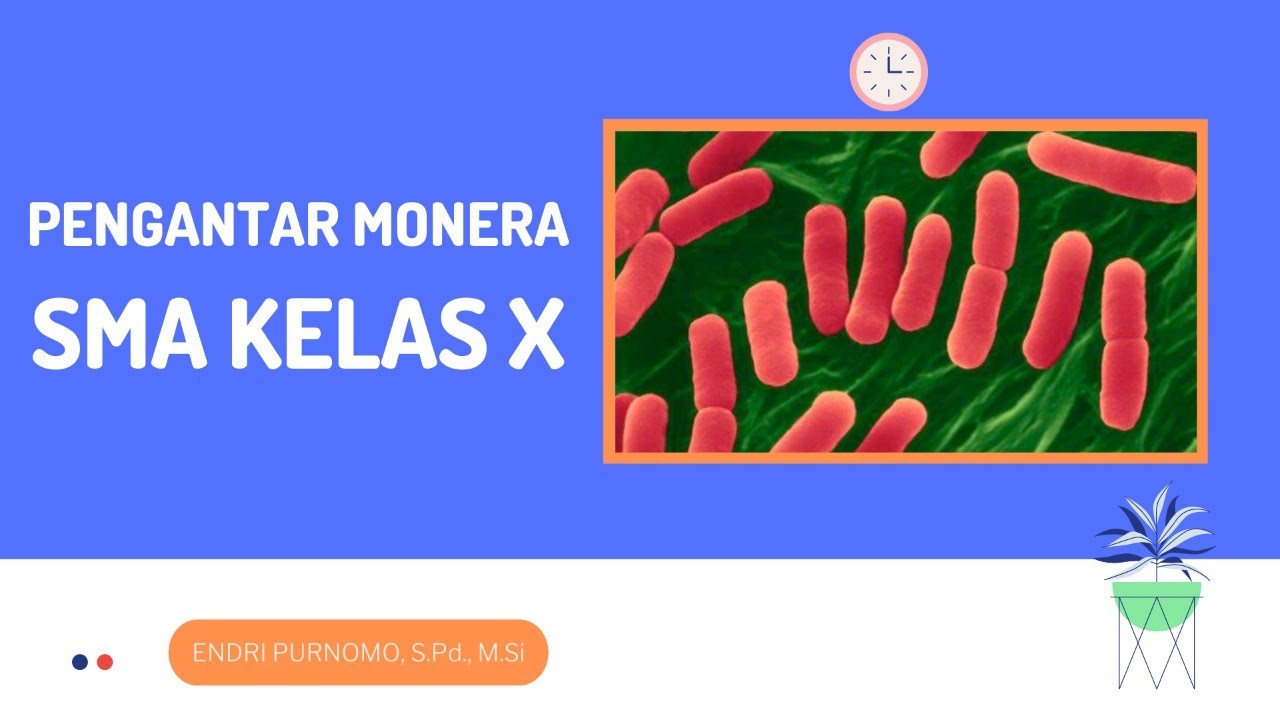 PENGANTAR KINGDOM MONERA (PROKARYOTIK) / MATERI BIOLOGI SMA KELAS X /  BAKTERI / SIANOBAKTERI /ARKAEA
