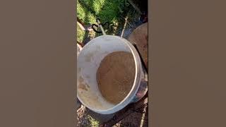 Download lagu SALUBE Paras Boteme