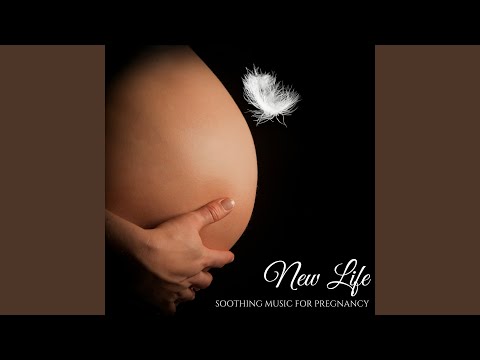 Melody for Meditation