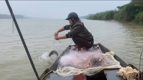 Trời mưa gió ra sông giăng lưới trúng được đàn cágáy ở đáy sông Hồng