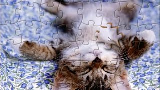 Adorable Kitten Puzzle Game Kids Jigsaw Rompecabeza screenshot 5