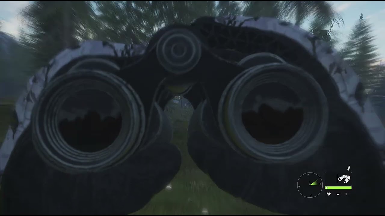 Smoked a freaking black bear, baby.