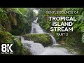 8 HOURS of Tropical Forest Stream & Gentle Birds Singing - 8K Relaxing Nature Video - Part #2