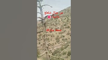 #عبدالعزيز_سحيم #اكسبلور #سورة_يوسف