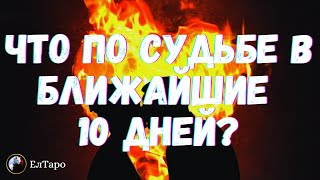 ГАДАНИЕ ТАРО ОНЛАЙН. ТАРО ДЛЯ МУЖЧИН. ЧТО ПО СУДЬБЕ В БЛИЖАЙШИЕ 10 ДНЕЙ? ЧТО ЖДЁТ ВАС?