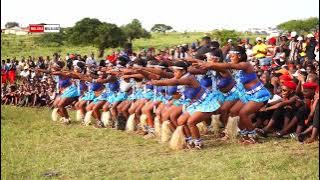 #11- Oqhawekazi team blue | Ocilwane  | Phumendlini Festival | ingoma Kashameni | 18 April 2025