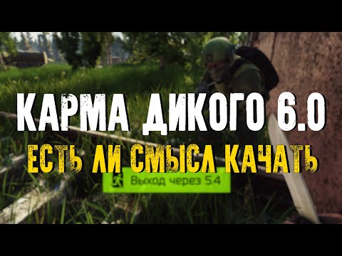 Карма Дикого 6.0 - как качать и есть ли в этом смысл? [Escape from Tarkov]