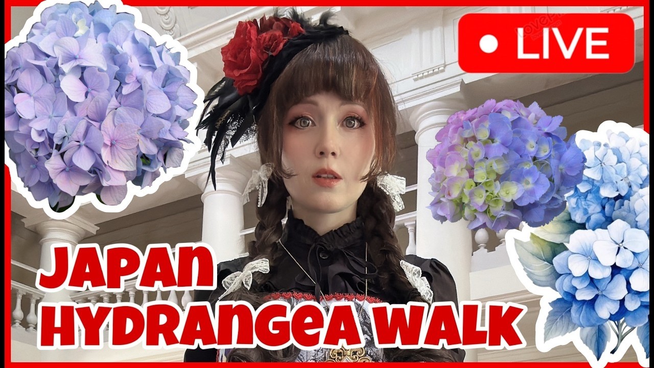 🔴 Hydrangea & Typhoons: Ask Japanese 11 Year Anniversary 🔥 - LIVE from Tokyo