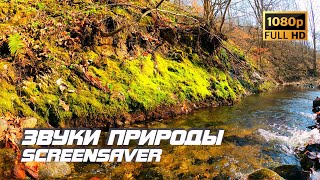 Живая природа - Ручей | Река | Звуки природы | Звуки ручья | Шум воды | Релаксация | Снятие стресса