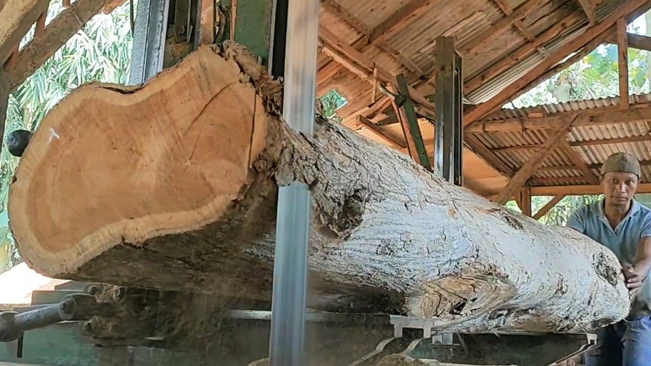 sawing old teak logs full of beautiful grain into expensive frame ...
