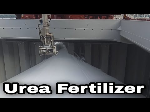 Loading Urea Fertilizer