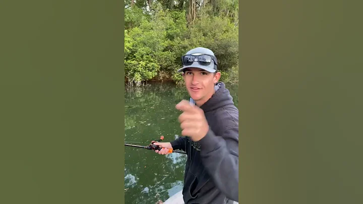 How to Catch a Fish #Shorts - DayDayNews
