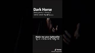 Dark Horse Cover TikTok