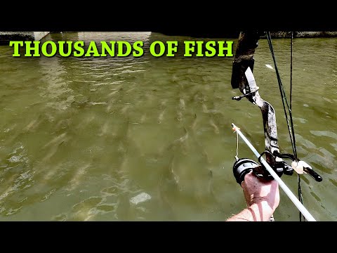 600 POUNDS of Fish in 4 Hours - SOLO - Insane Asian Carp Bowfishing