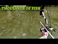 600 pounds of fish in 4 hours  solo  insane asian carp bowfishing