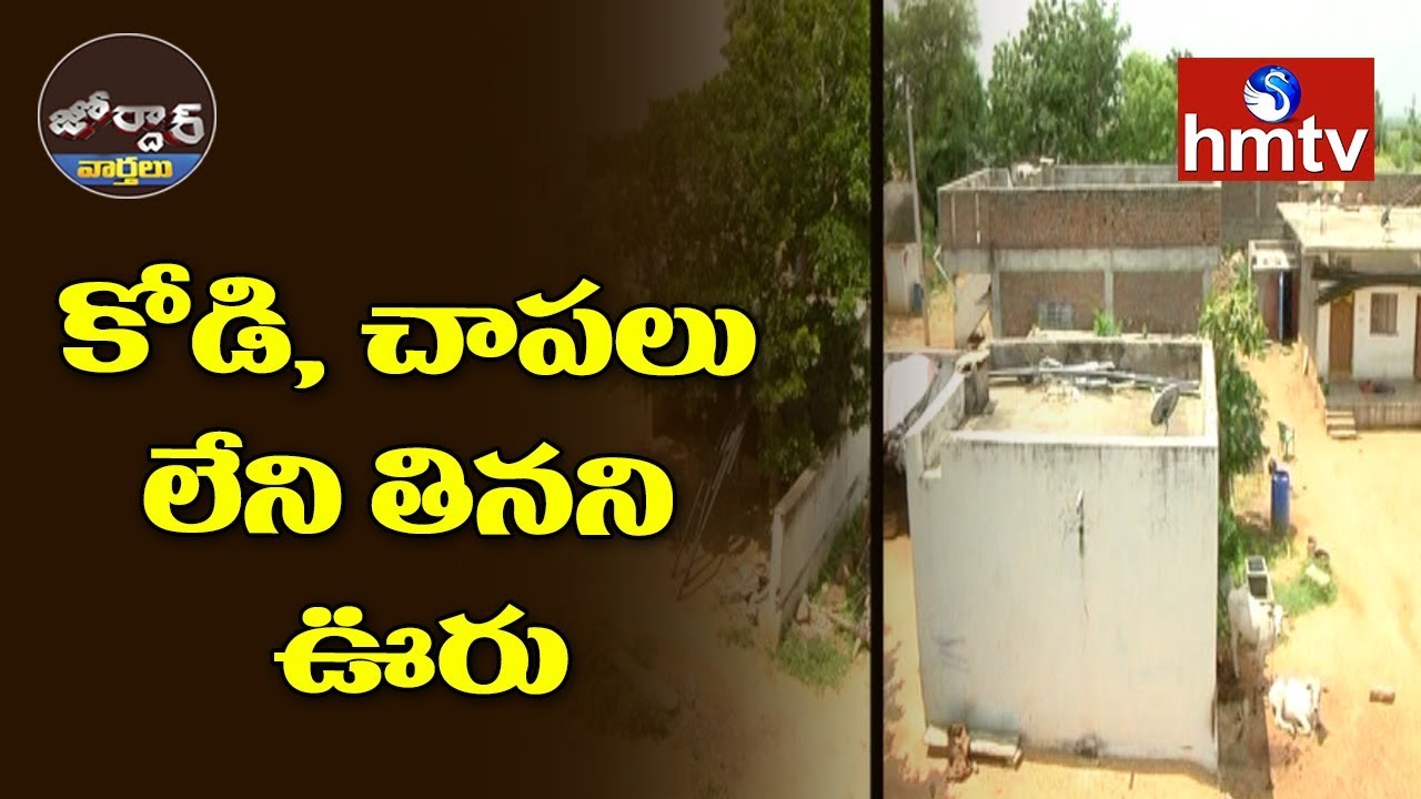 telugu news online live కోడి, చాపలు లేని తినని ఊరు || Jordar News | hmtv Telugu News