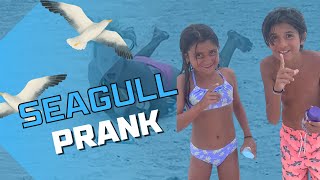 Sunscreen Prank Turns Into Seagull Frenzy😂