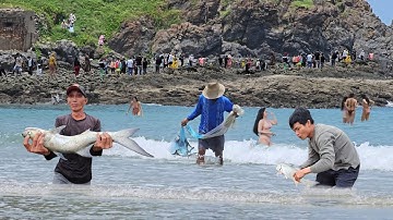 Các Chú Chài Cá Trúng Mánh - Sửng Sốt Trước Cảnh Tượng Biển Người Leo Núi Xuống Bãi Tắm Xem Chài Cá