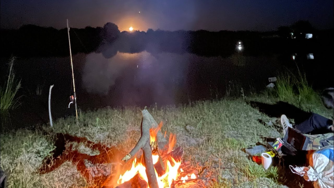Primera pesca del 2026. Terribles tarariras salieron. Río muerto (río gualeguay)
