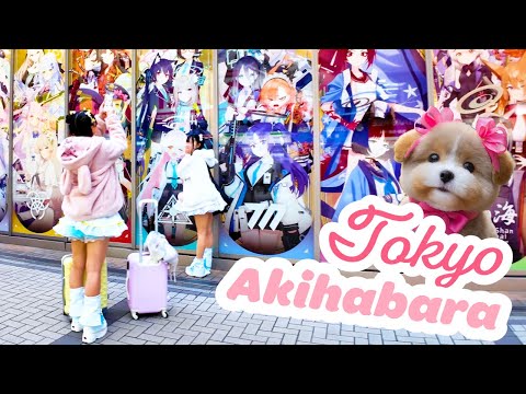 Токио Акихабара🐶🍻Аниме-рай💖4K отдых/учеба без перерыва 1 час 01 минута