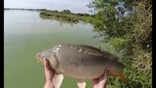 Pêche de la carpe à l'extra light en étang trucs et astuces