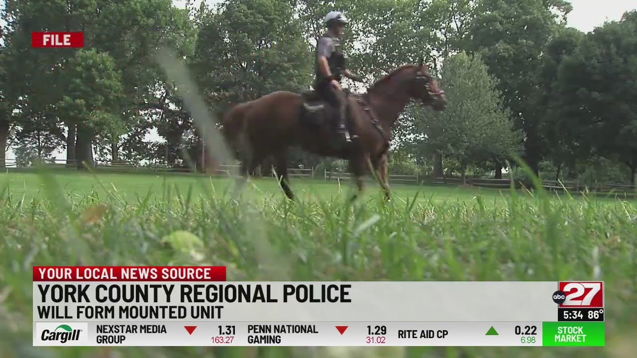 York County Regional Police to form Mounted Horse Unit