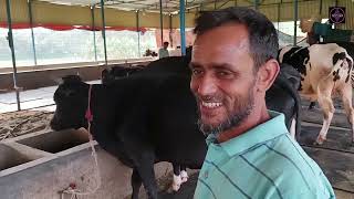 বিদেশ থেকেও খামার পরিচালনা করা যায় কিভাবে, বিস্তারিত জানতে দেখুন। dairy farming