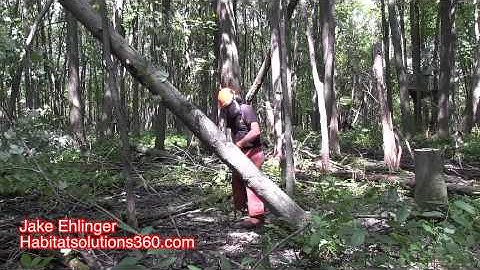 Bringing a hung tree down by blocking