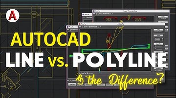 📏💡LINE VS POLYLINE— What’s the Difference?