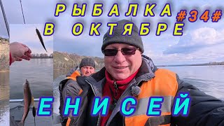 Рыбалка в октябре на Енисее