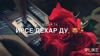 Оффаншш😍хьо са безам бу🙈