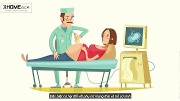 Sự nguy hiểm của Formaldehyde - The Danger of Formaldehyde