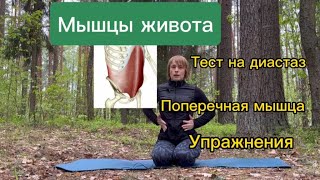 Как убрать диастаз и обрести плоский живот