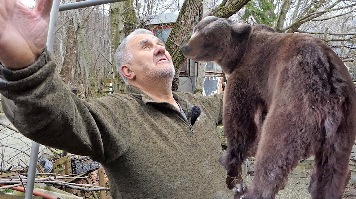 Ako niko ne reaguje brzo, Eminovi medvjedi će uginuti