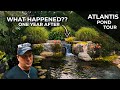 We built these ponds a while ago how are they doing now  atlantis pond tour part 2