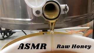 ASMR Raw Honey Extraction | Oddly Satisfying & Visually Stimulating